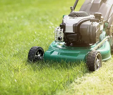 Başakşehir Peyzaj Firması | Bahçe Peyzaj, Bakım ve Hazır Çim 