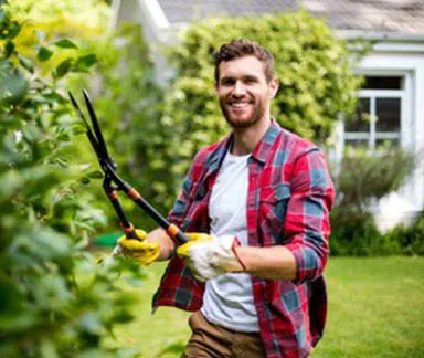 Bakırköy Peyzaj Firması | Bahçe Düzenleme, Bakım, Hazır Çim ve İlaçlama 