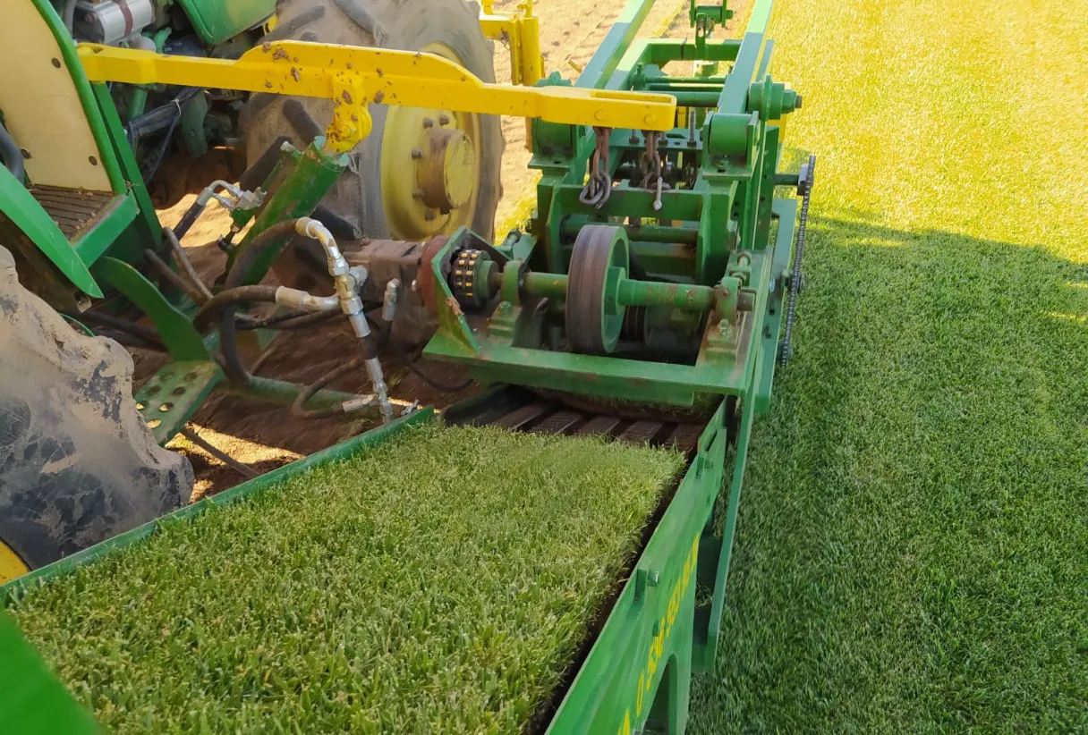 İstanbul Hazır Çim ve Rulo Çim Uygulamaları