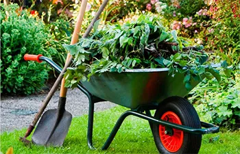 İstanbul Periyodik Peyzaj Bahçe Bakımı