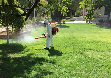 İstanbul Bahçe ve Bina İlaçlama Hizmetleri